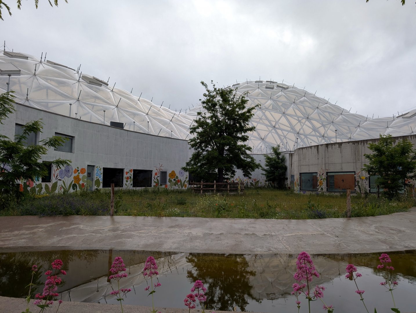 Biodome - empty enclosure