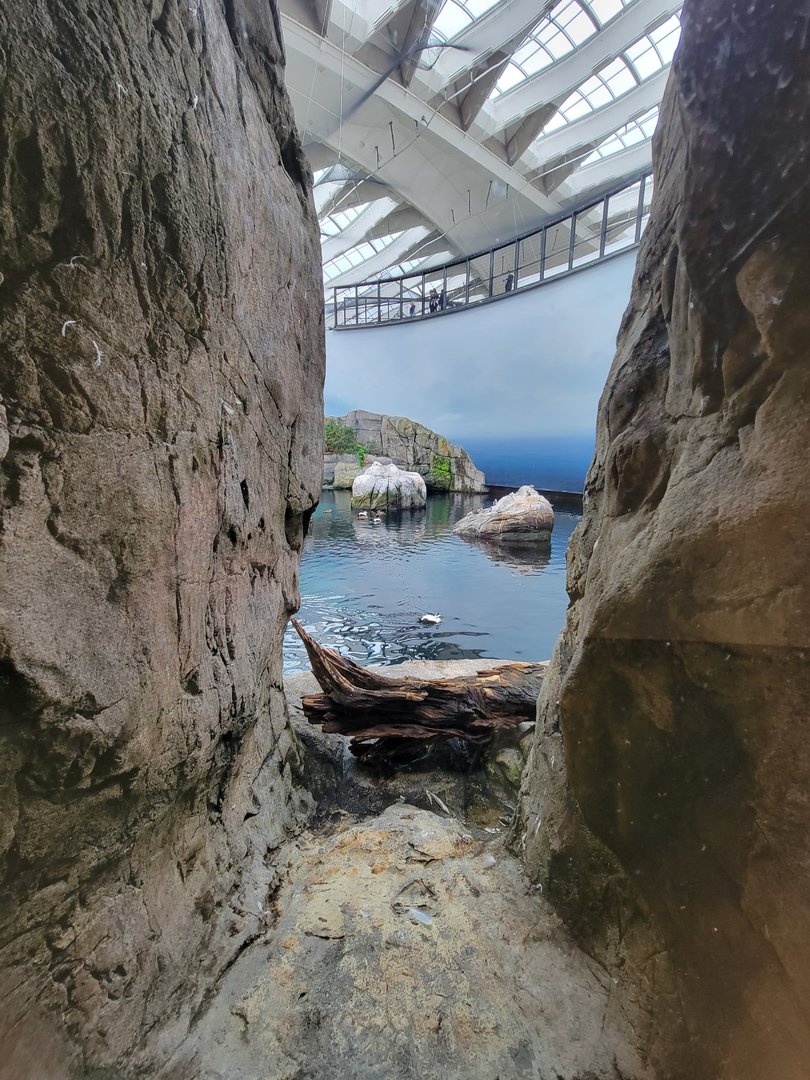 Biodôme Montréal - Gulf of St. Lawrence - Narrow viewing windows near exit from the Gulf