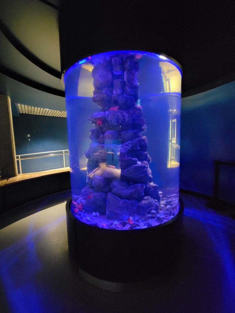 Biodôme Montréal - Gulf of St. Lawrence - Tank with non-fishes