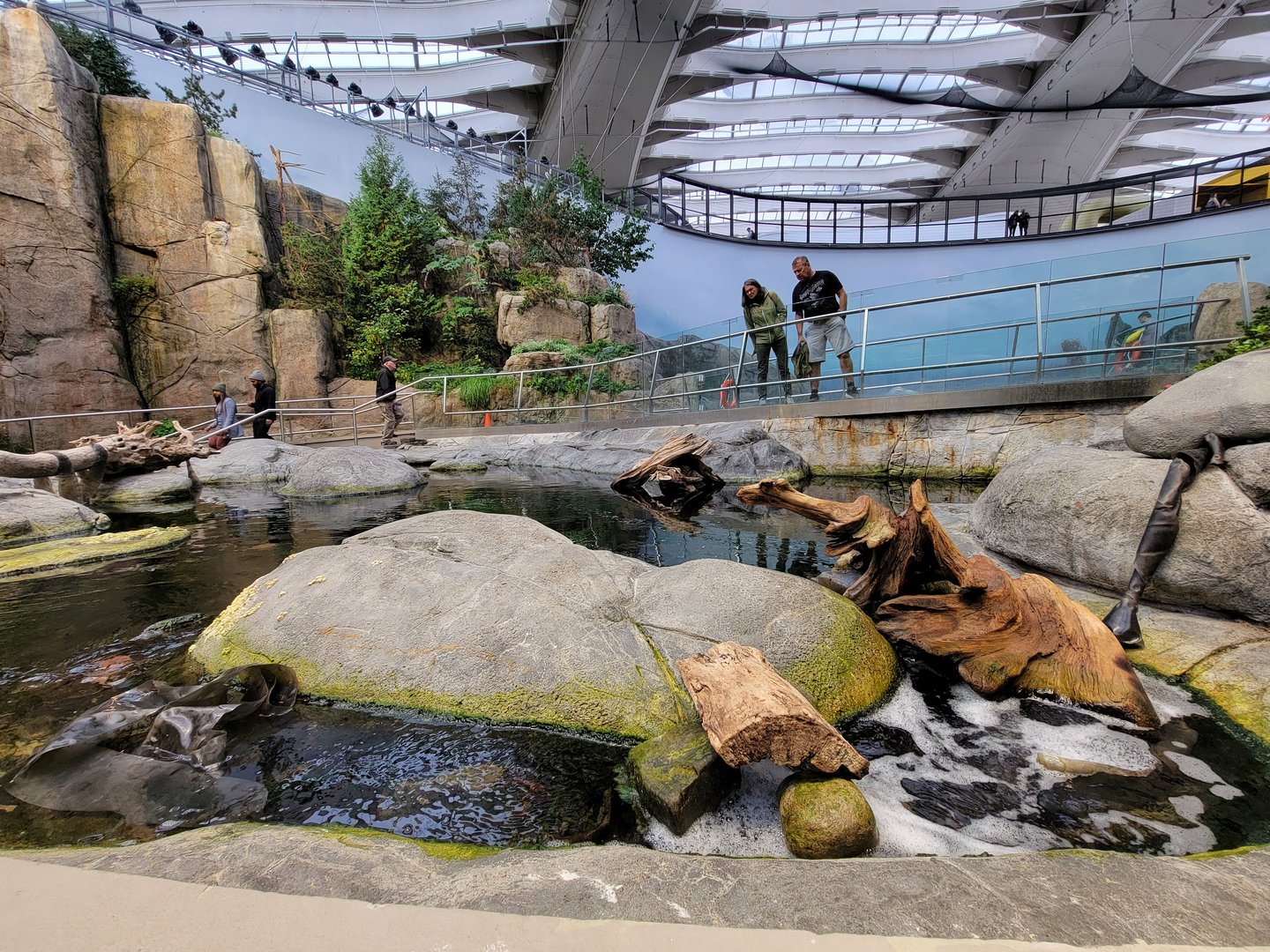 Biodôme Montréal - Gulf of St. Lawrence - Tide pool