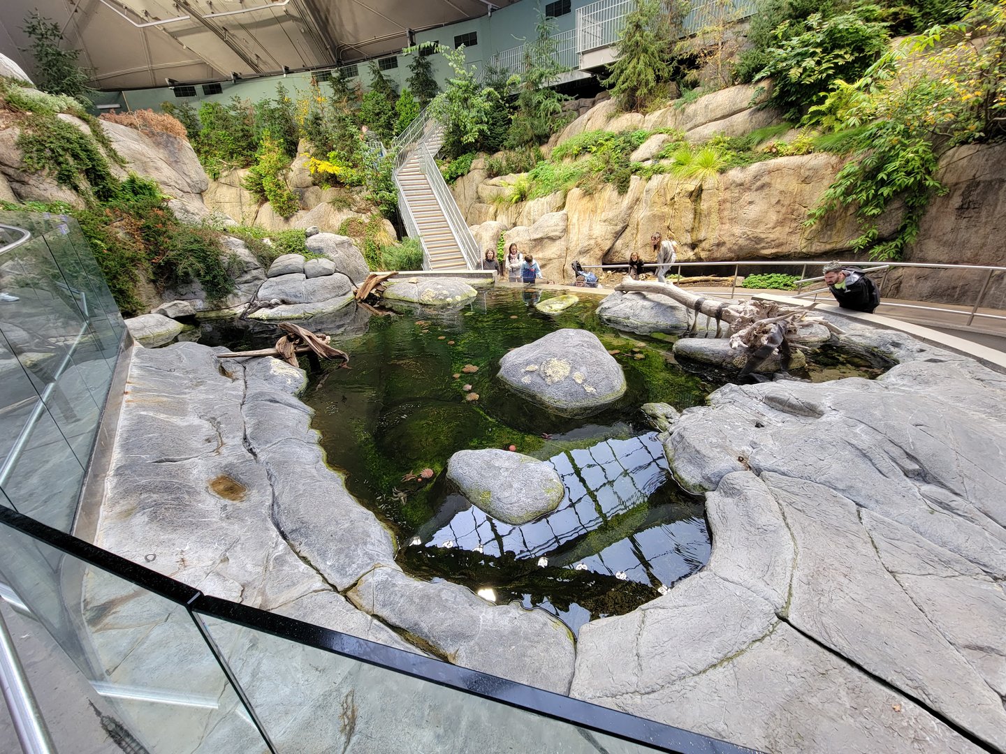 Biodôme Montréal - Gulf of St. Lawrence - Tide pool