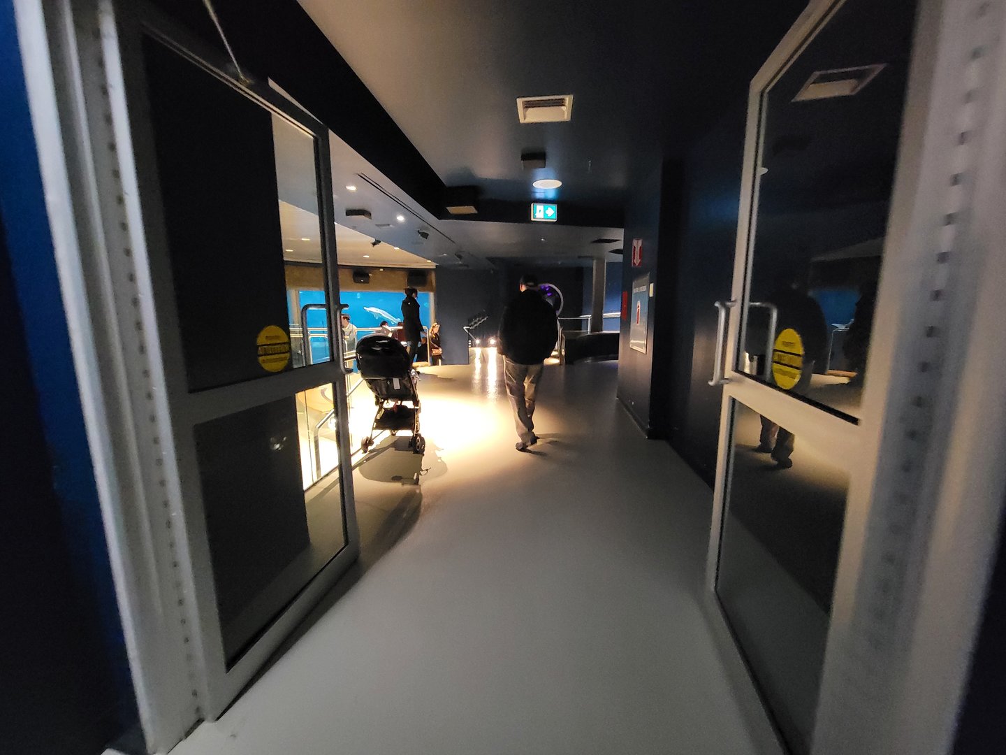 Biodôme Montréal - Gulf of St. Lawrence - Underwater viewing