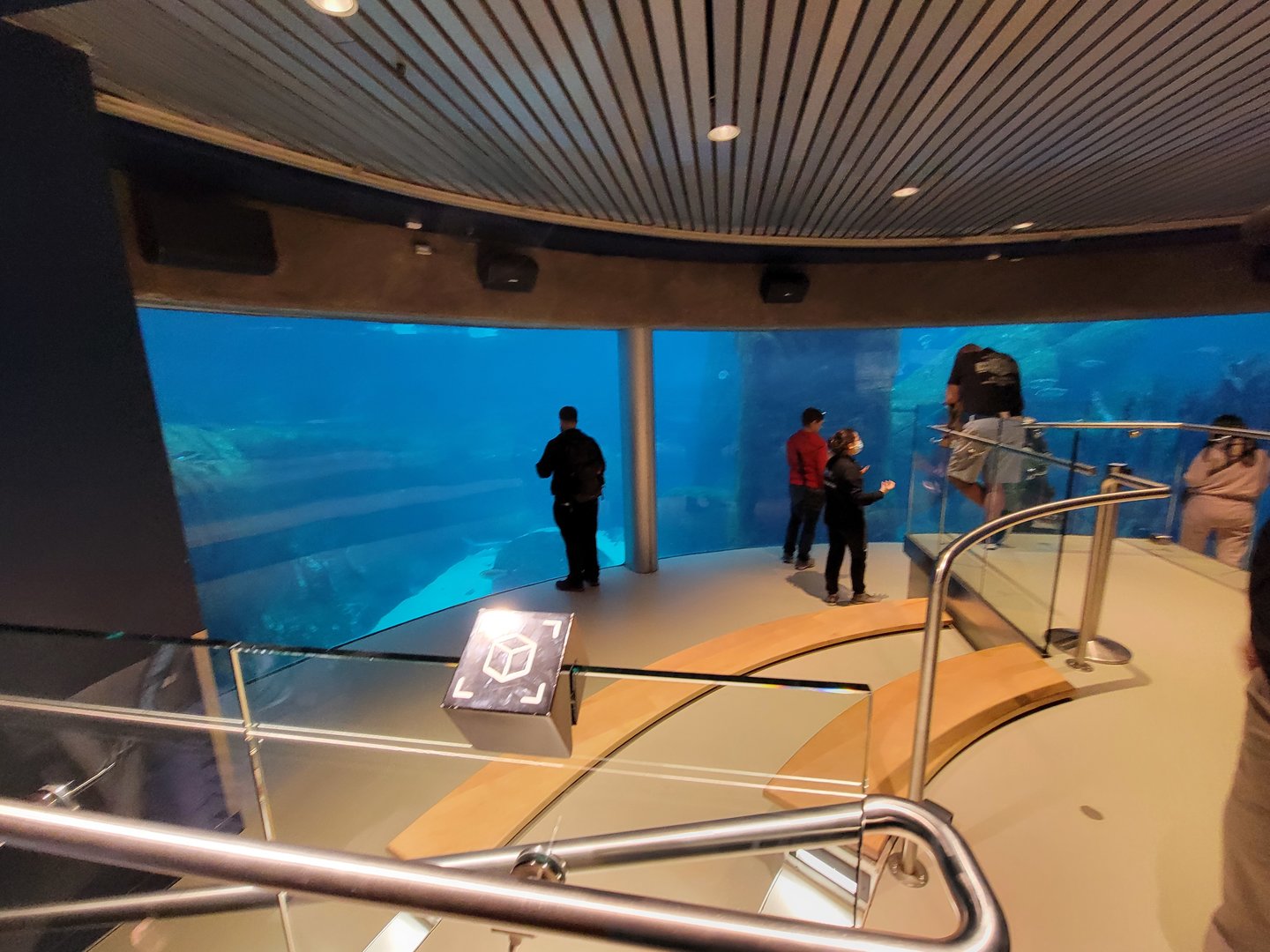 Biodôme Montréal - Gulf of St. Lawrence - Underwater viewing