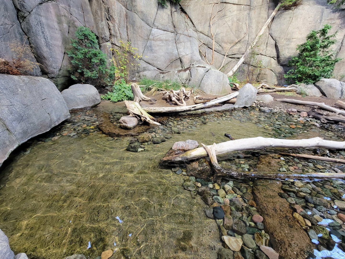 Biodôme Montréal - Gulf of St. Lawrence - Whimbrel and ruddy turnstone visible