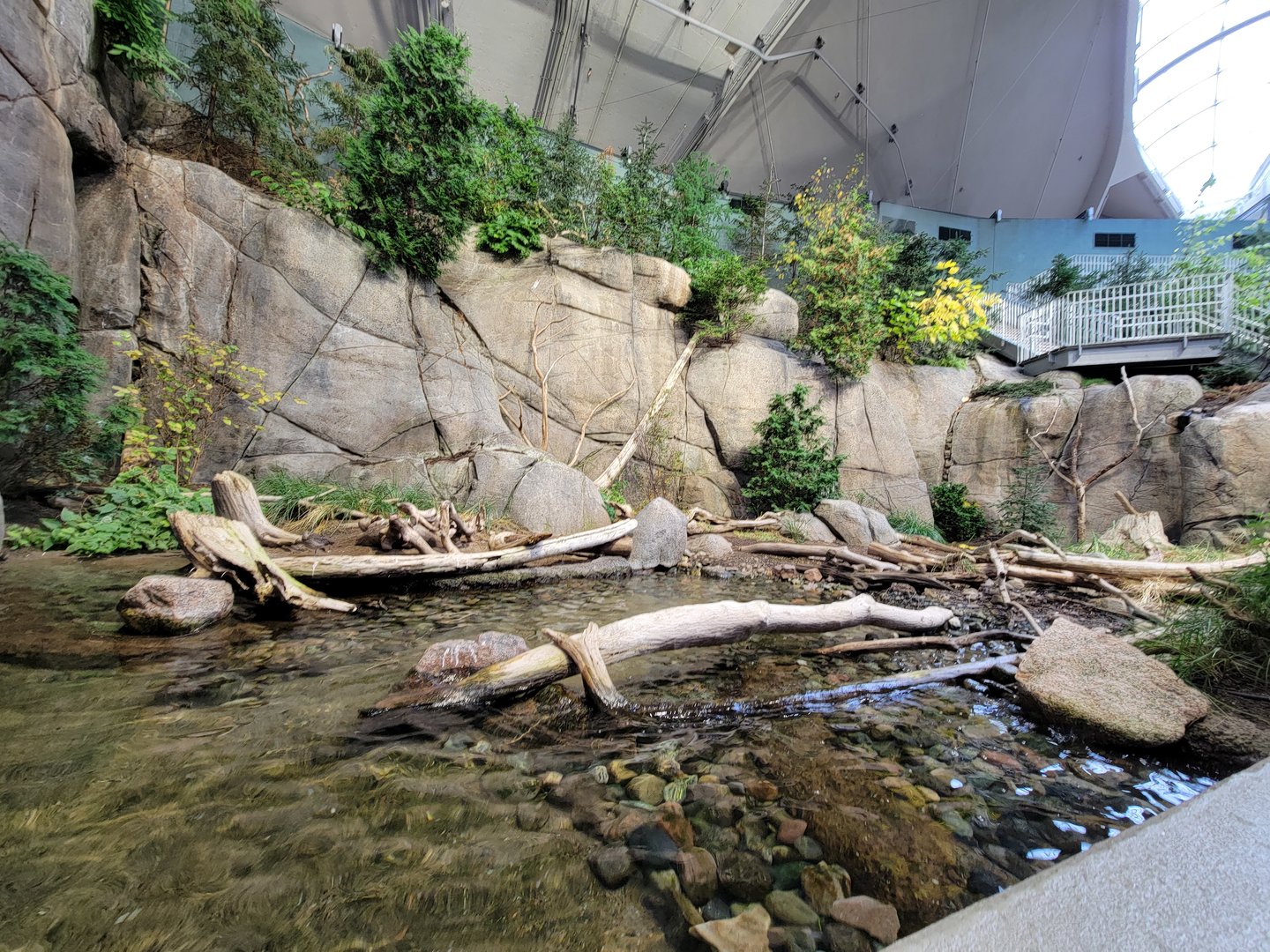 Biodôme Montréal - Gulf of St. Lawrence