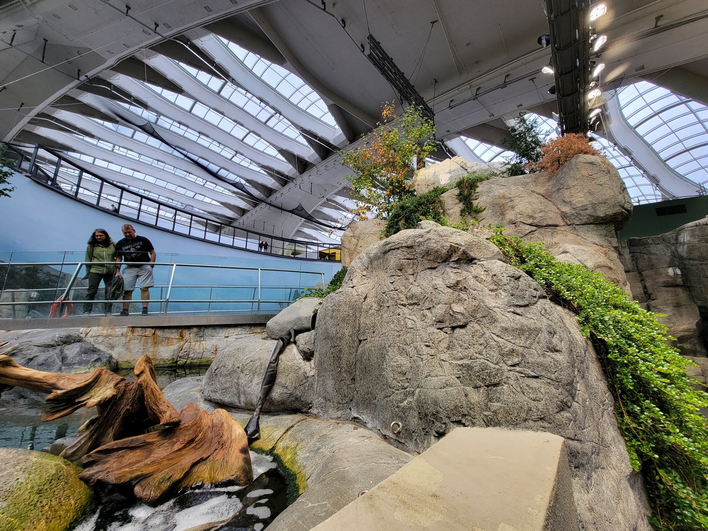 Biodôme Montréal - Gulf of St. Lawrence