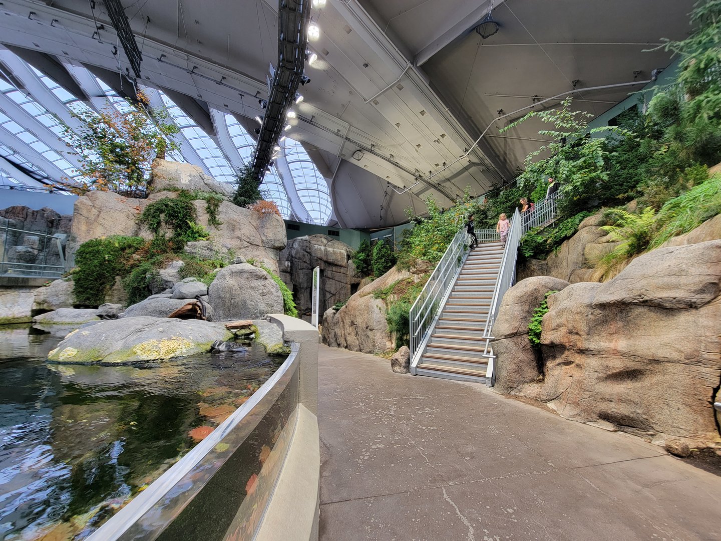 Biodôme Montréal - Gulf of St. Lawrence