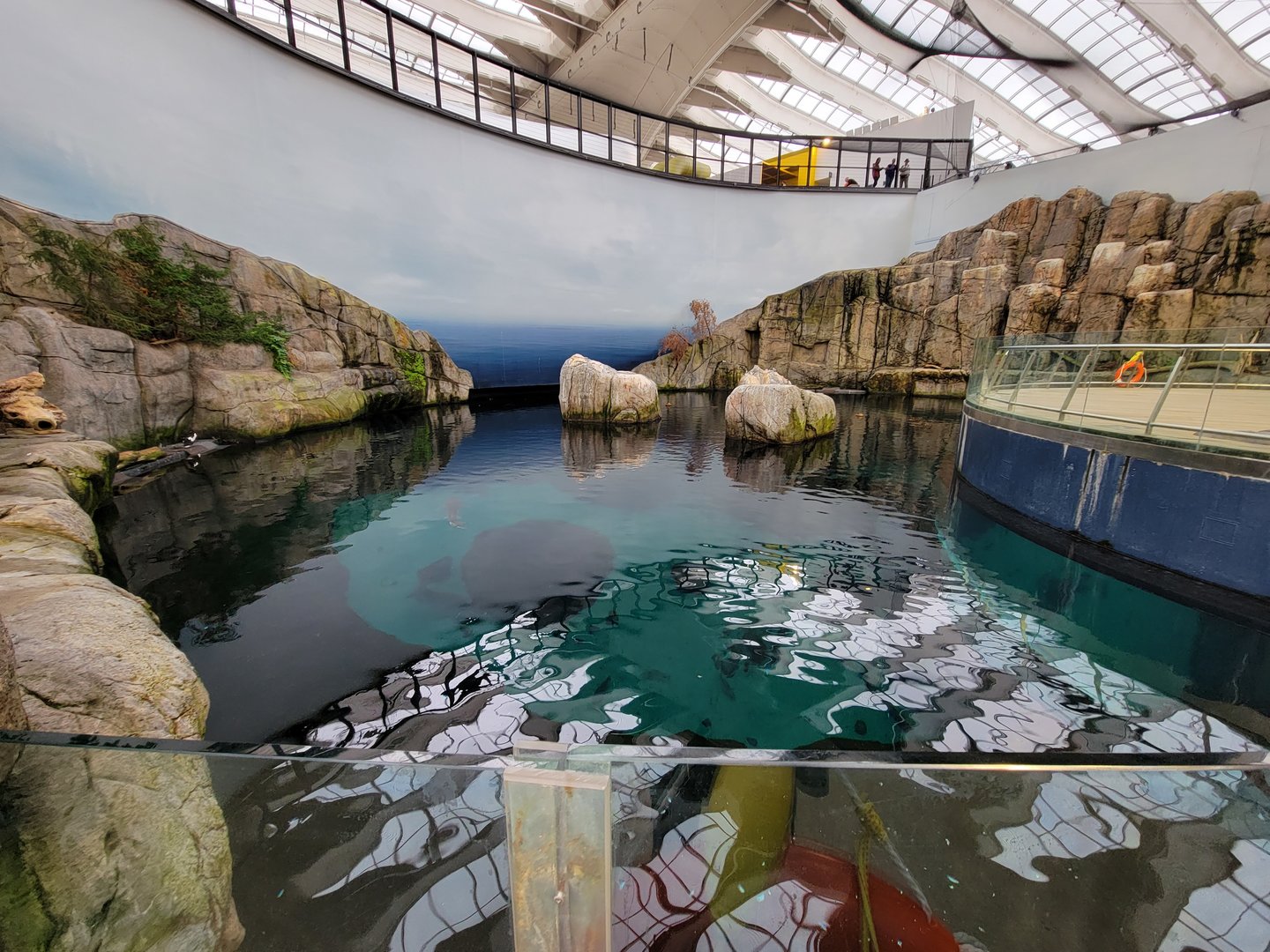 Biodôme Montréal - Gulf of St. Lawrence