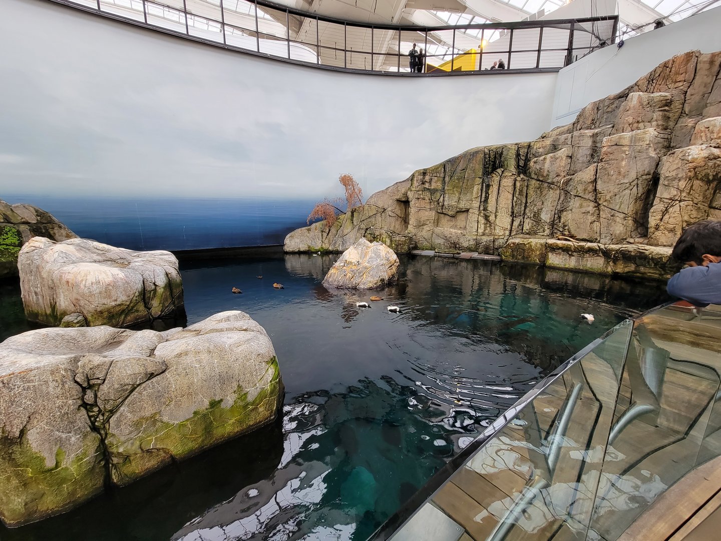 Biodôme Montréal - Gulf of St. Lawrence