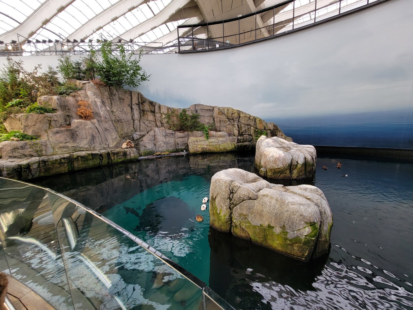 Biodôme Montréal - Gulf of St. Lawrence