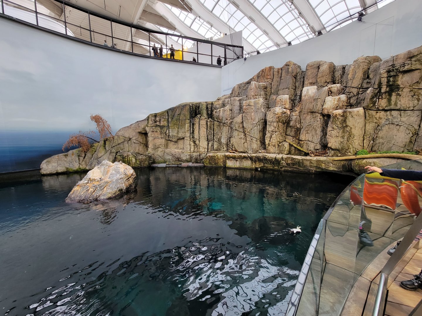 Biodôme Montréal - Gulf of St. Lawrence