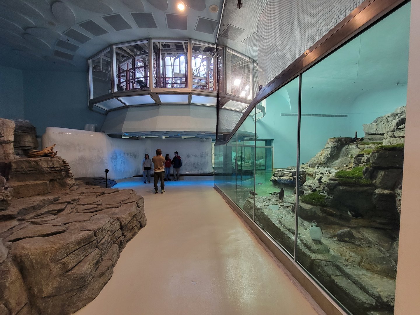 Biodôme Montréal - Labrador Coast area