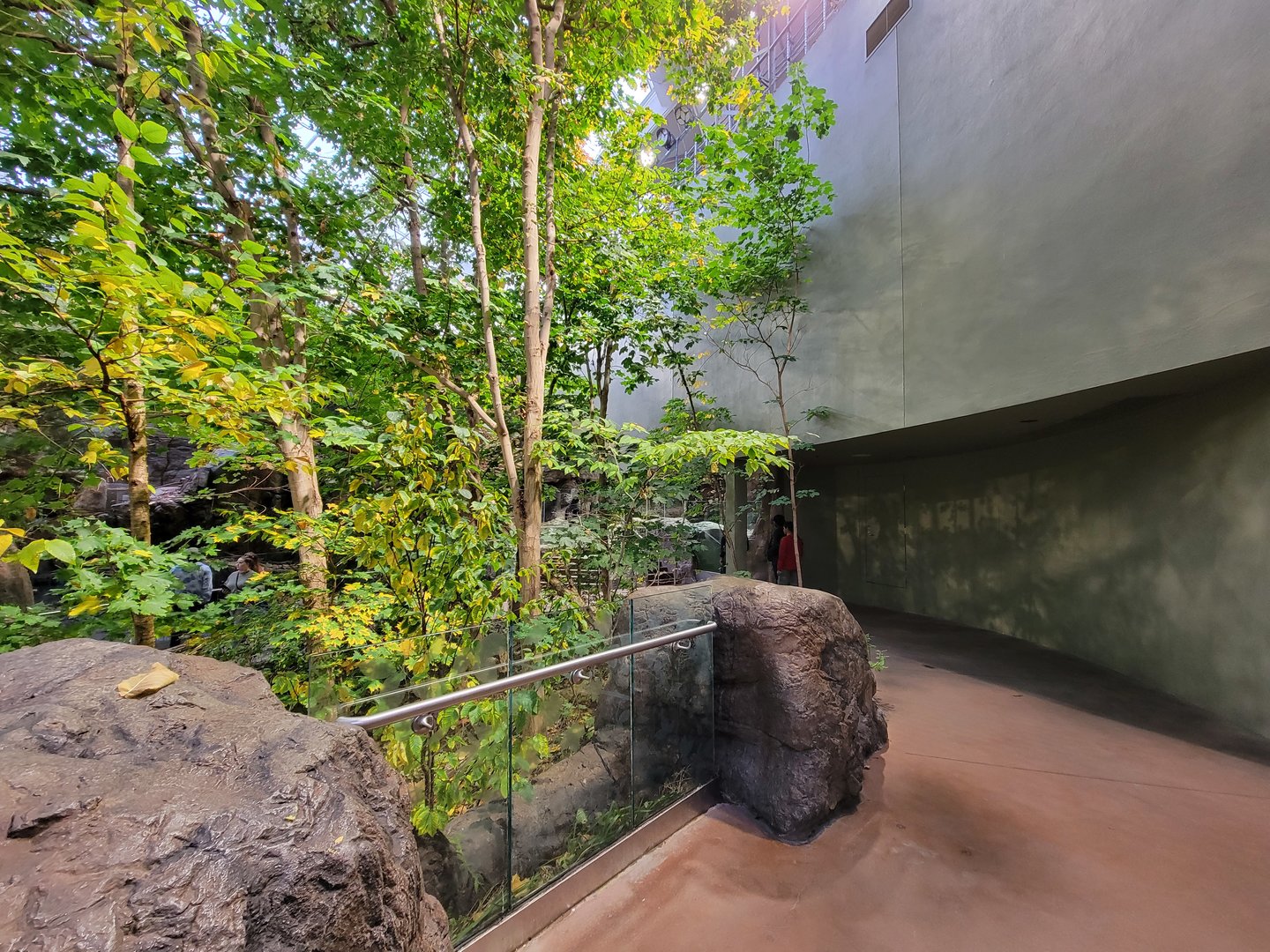 Biodôme Montréal - Laurentian Maple Forest - Inside entrance
