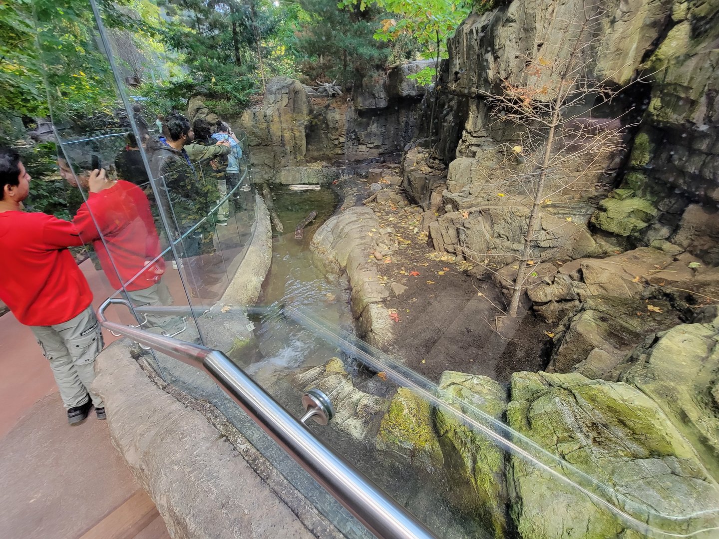 Biodôme Montréal - Laurentian Maple Forest - North American river otter