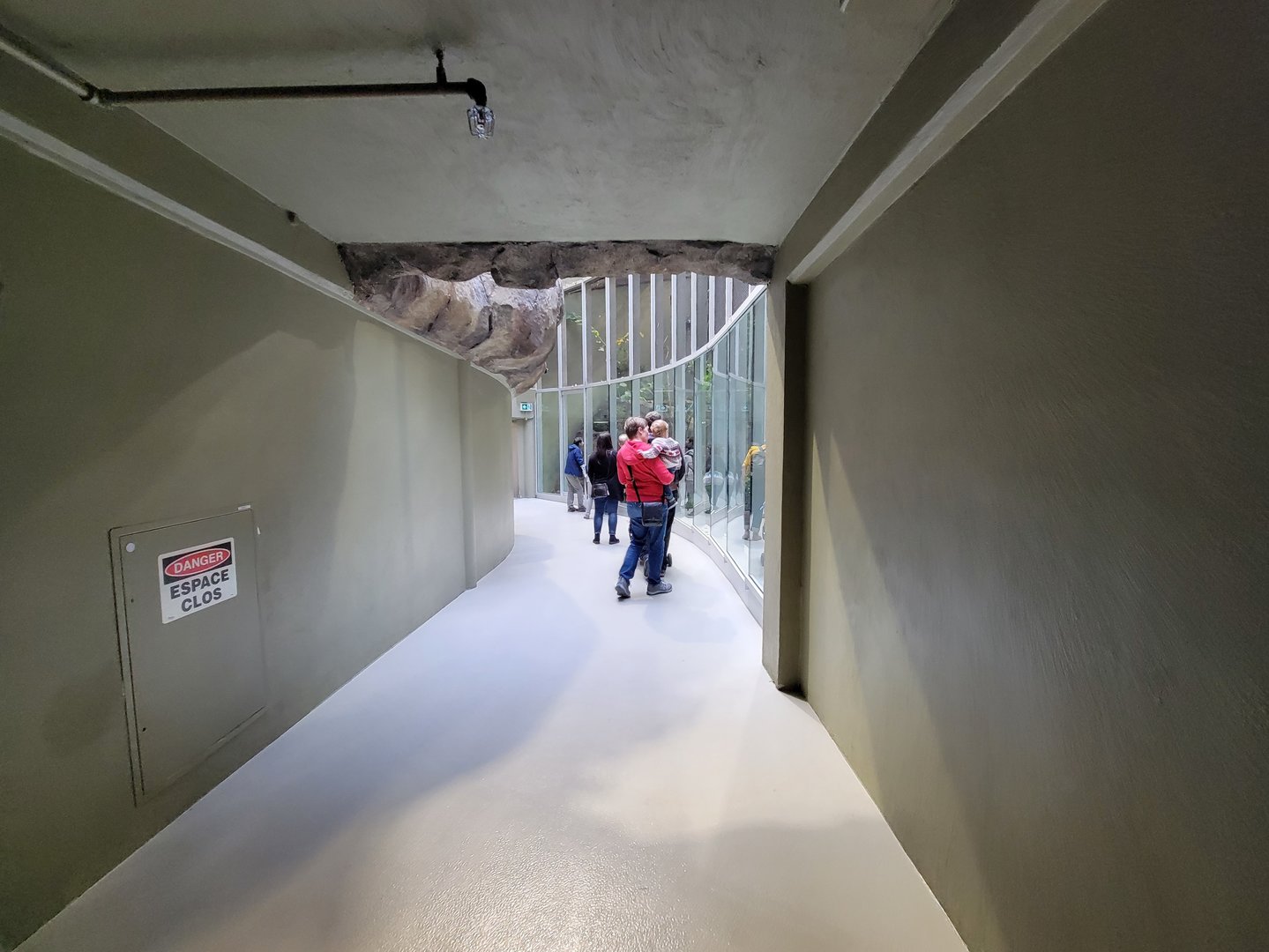 Biodôme Montréal - Laurentian Maple Forest - Path