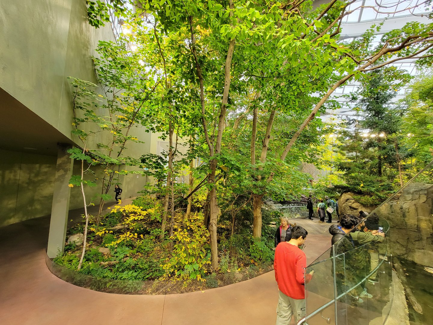 Biodôme Montréal - Laurentian Maple Forest