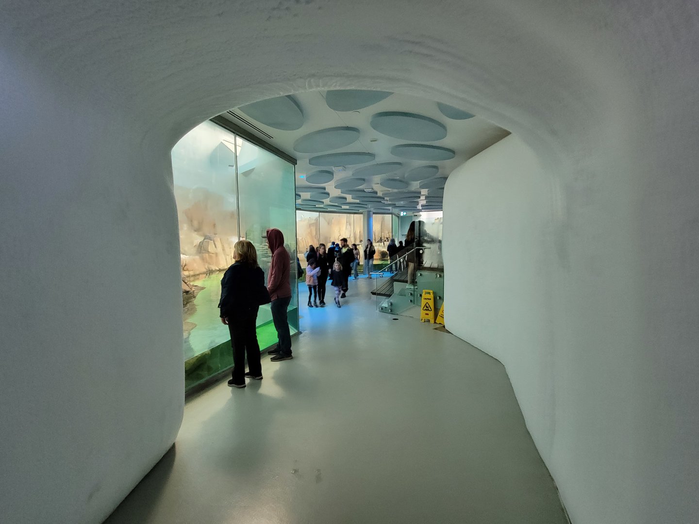 Biodôme Montréal - Sub-Antarctic Islands - Entrance