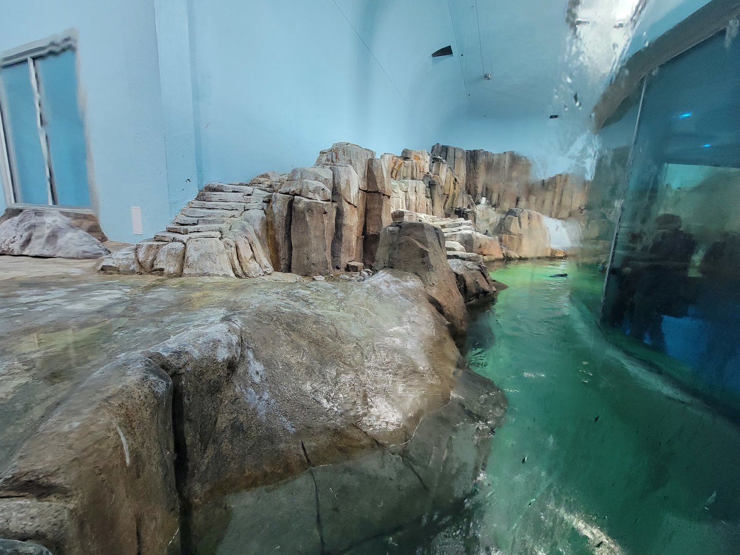 Biodôme Montréal - Sub-Antarctic Islands - Home to king, gentoo, macaroni, and northern rockhopper penguins