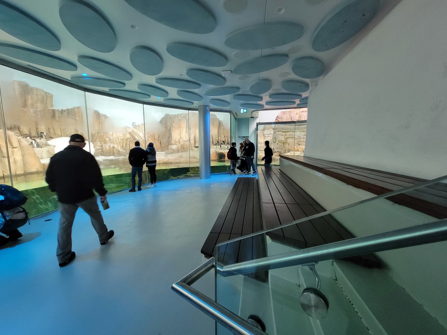 Biodôme Montréal - Sub-Antarctic Islands - Seating area