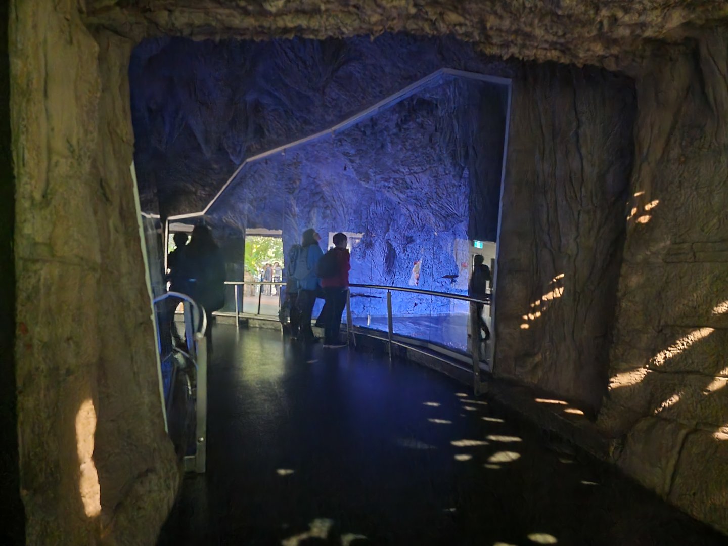 Biodôme Montréal - Tropical Rainforest - Bats, on both sides of the path