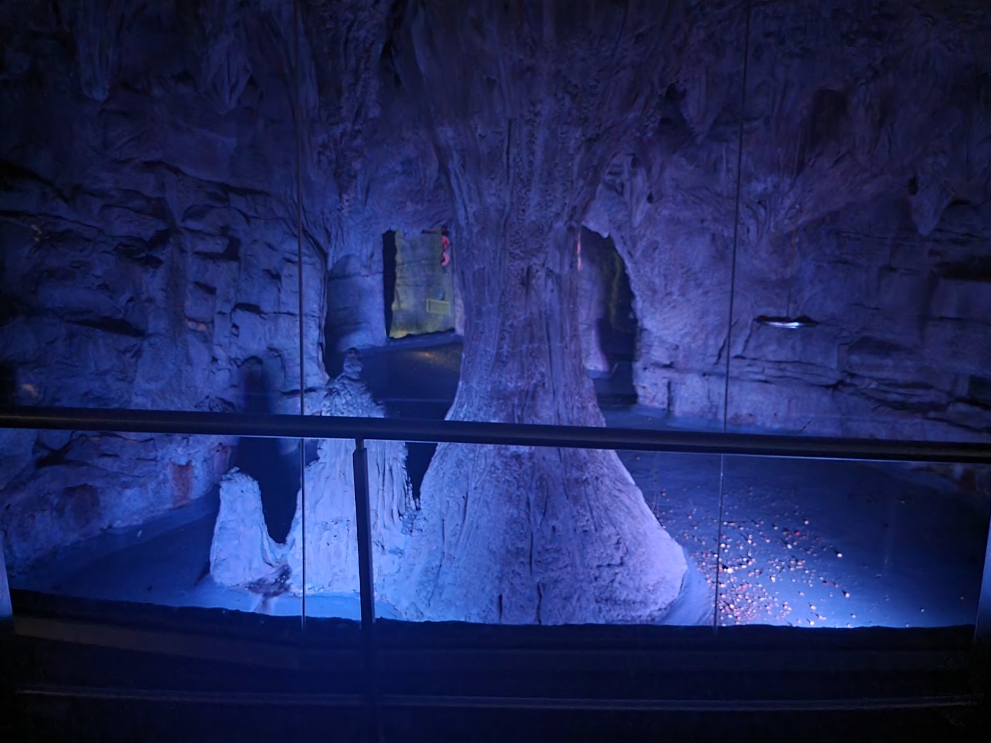 Biodôme Montréal - Tropical Rainforest - Bats