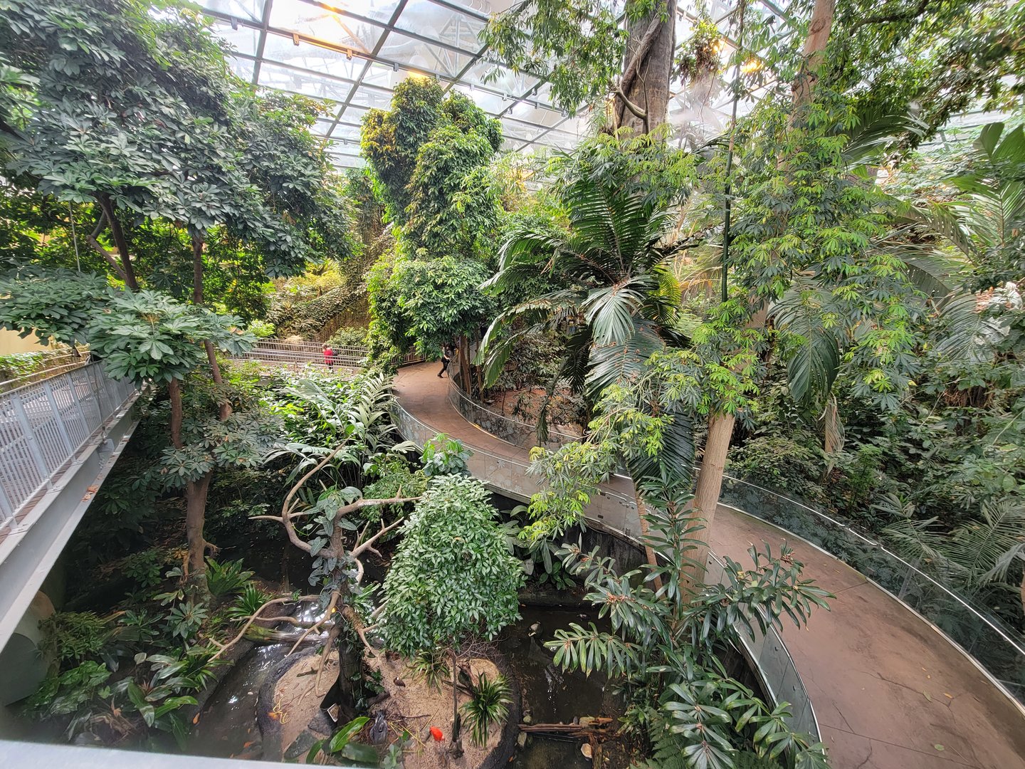 Biodôme Montréal - Tropical Rainforest - From ramp to second floor