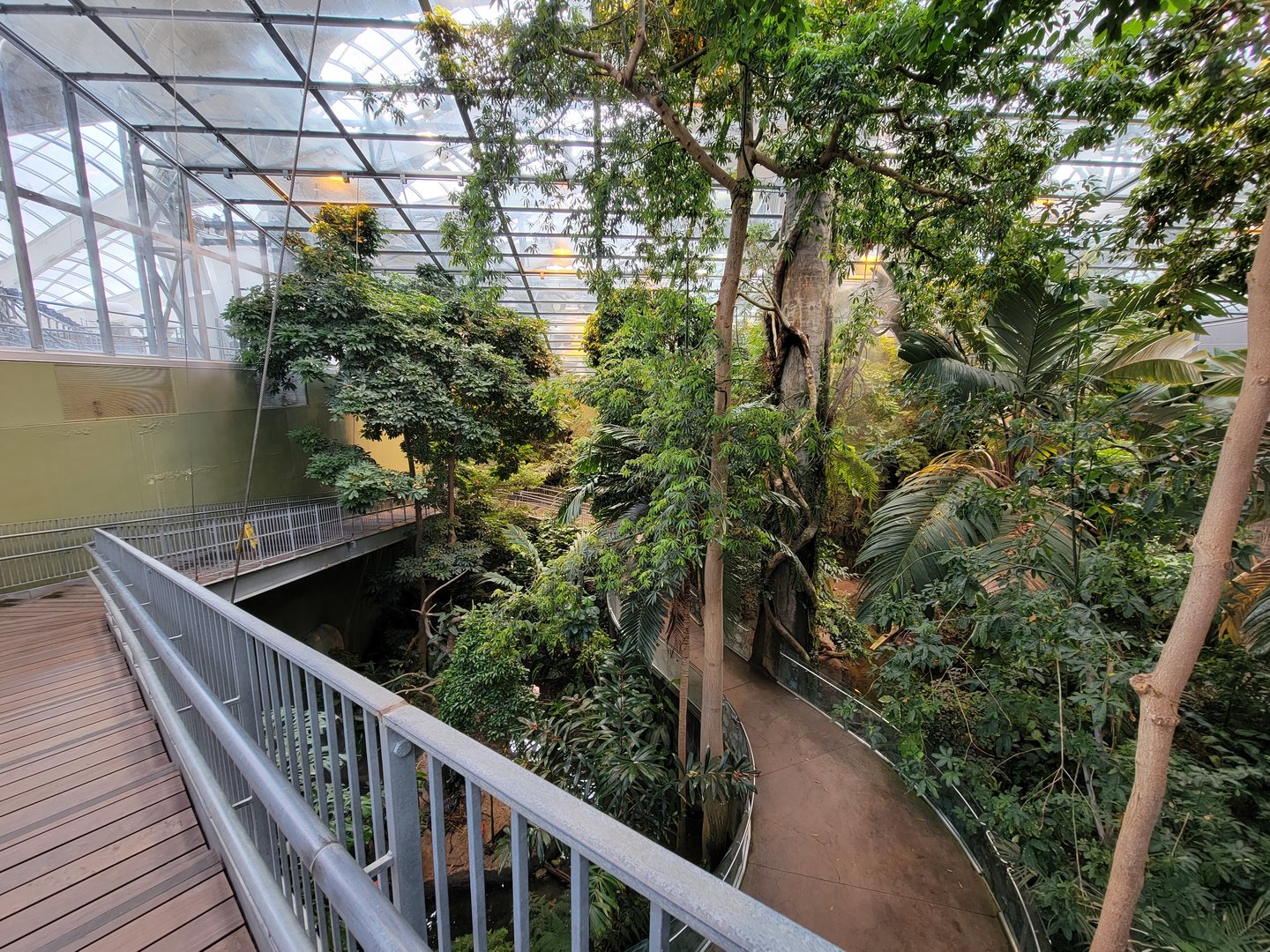 Biodôme Montréal - Tropical Rainforest - From ramp to second floor