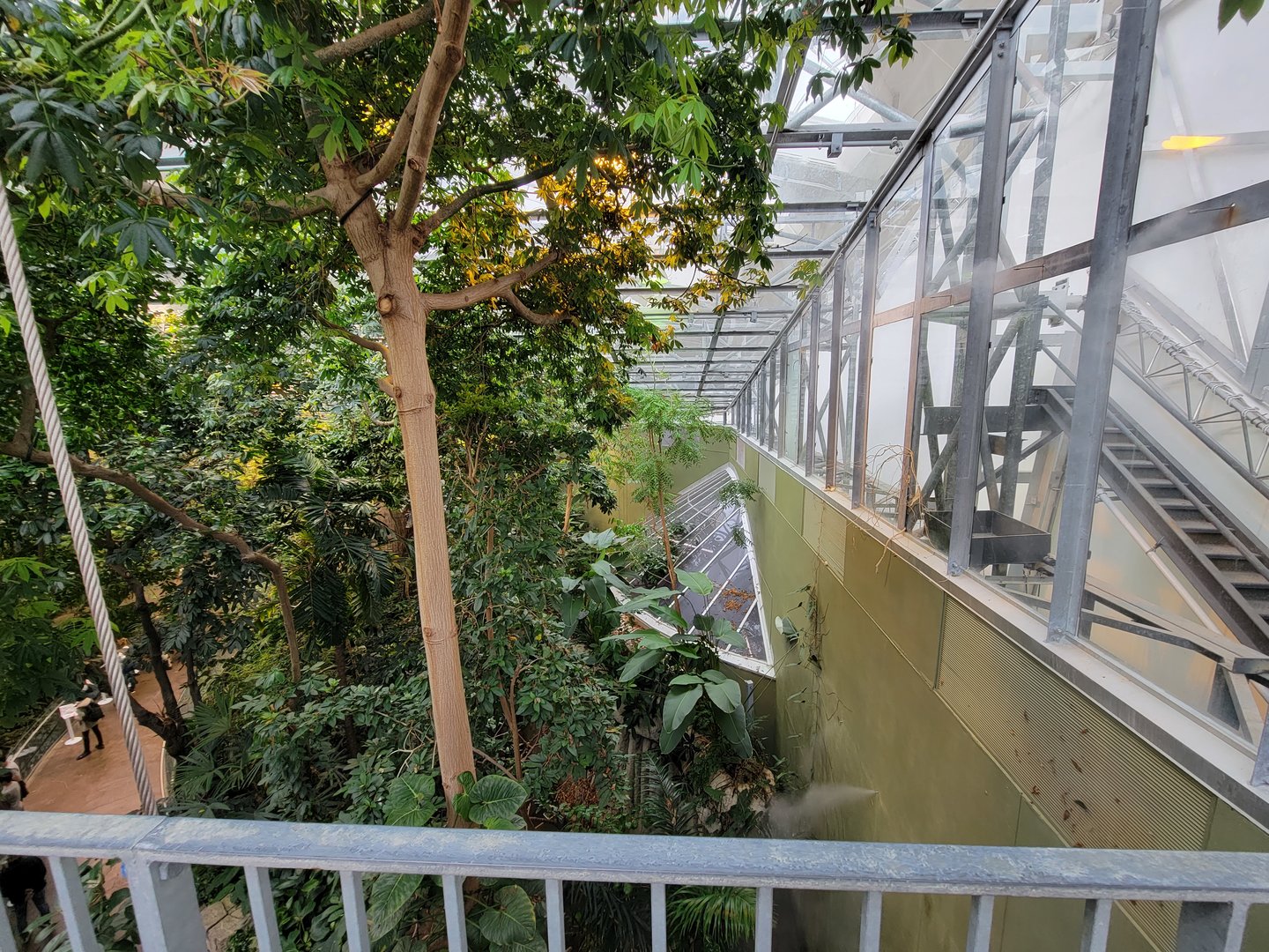 Biodôme Montréal - Tropical Rainforest - From ramp to second floor