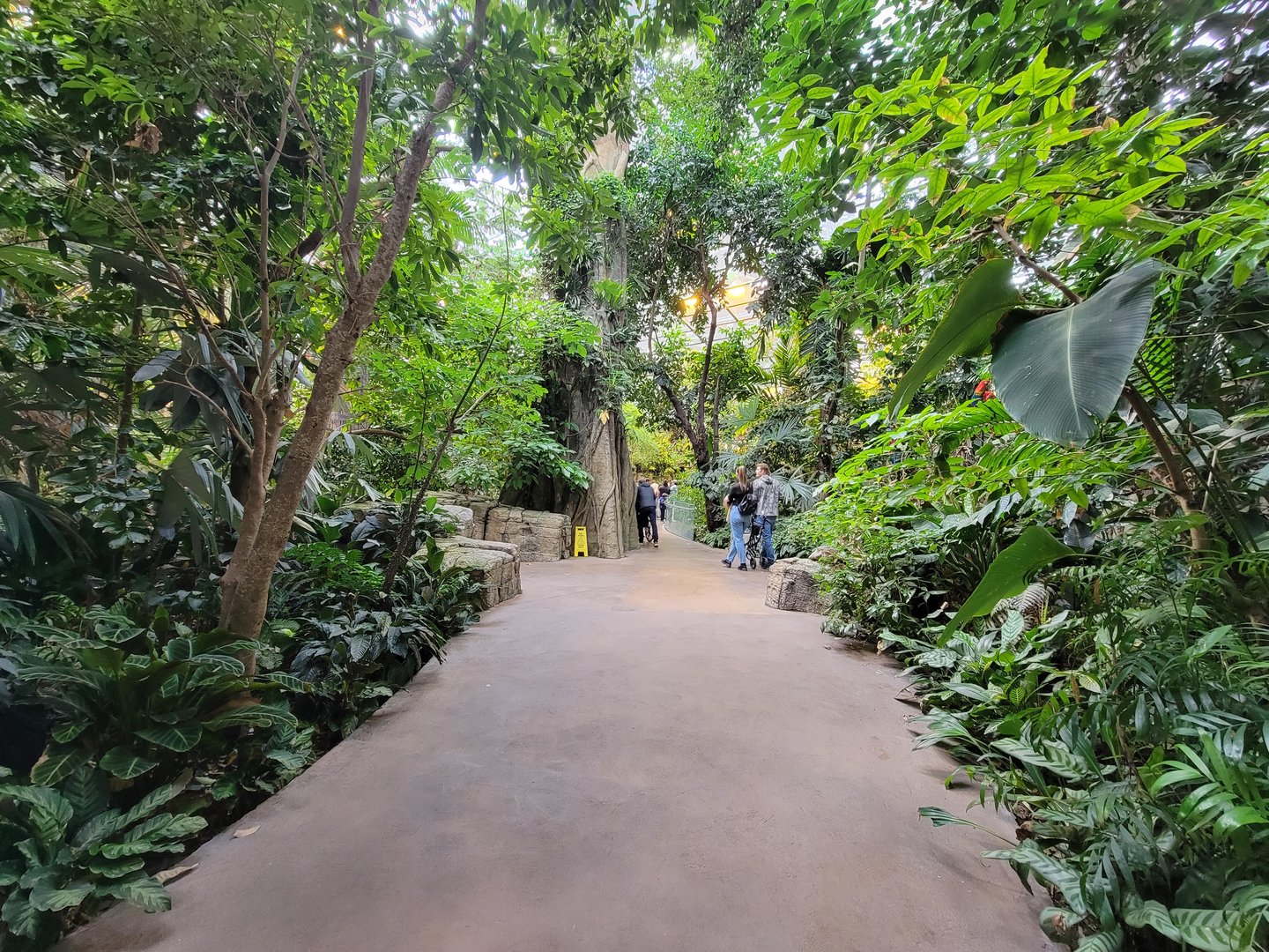Biodôme Montréal - Tropical Rainforest - Inside entrance
