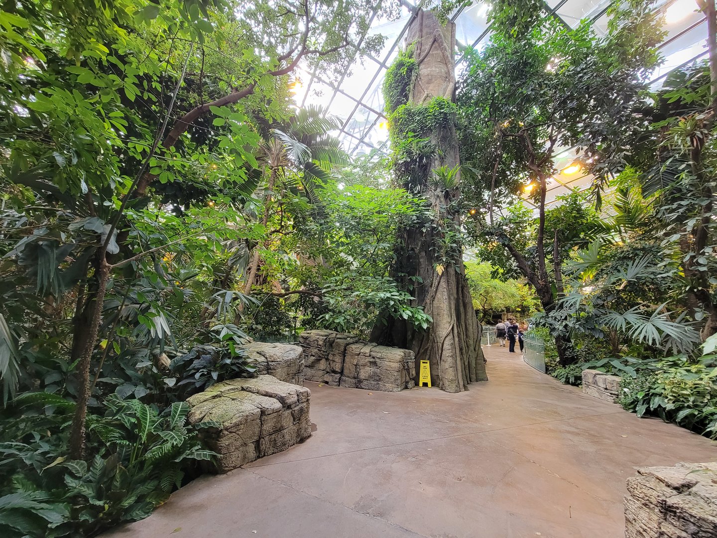 Biodôme Montréal - Tropical Rainforest - Inside entrance