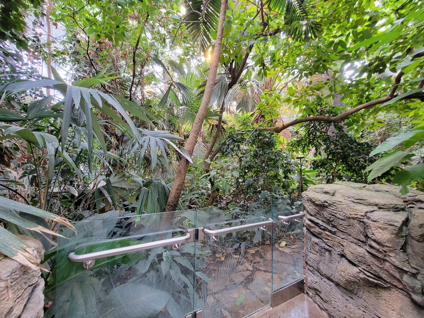 Biodôme Montréal - Tropical Rainforest - Inside entrance
