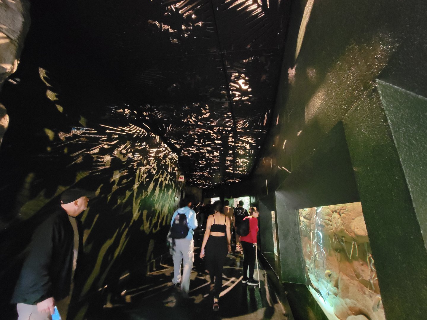 Biodôme Montréal - Tropical Rainforest - Nocturnal area