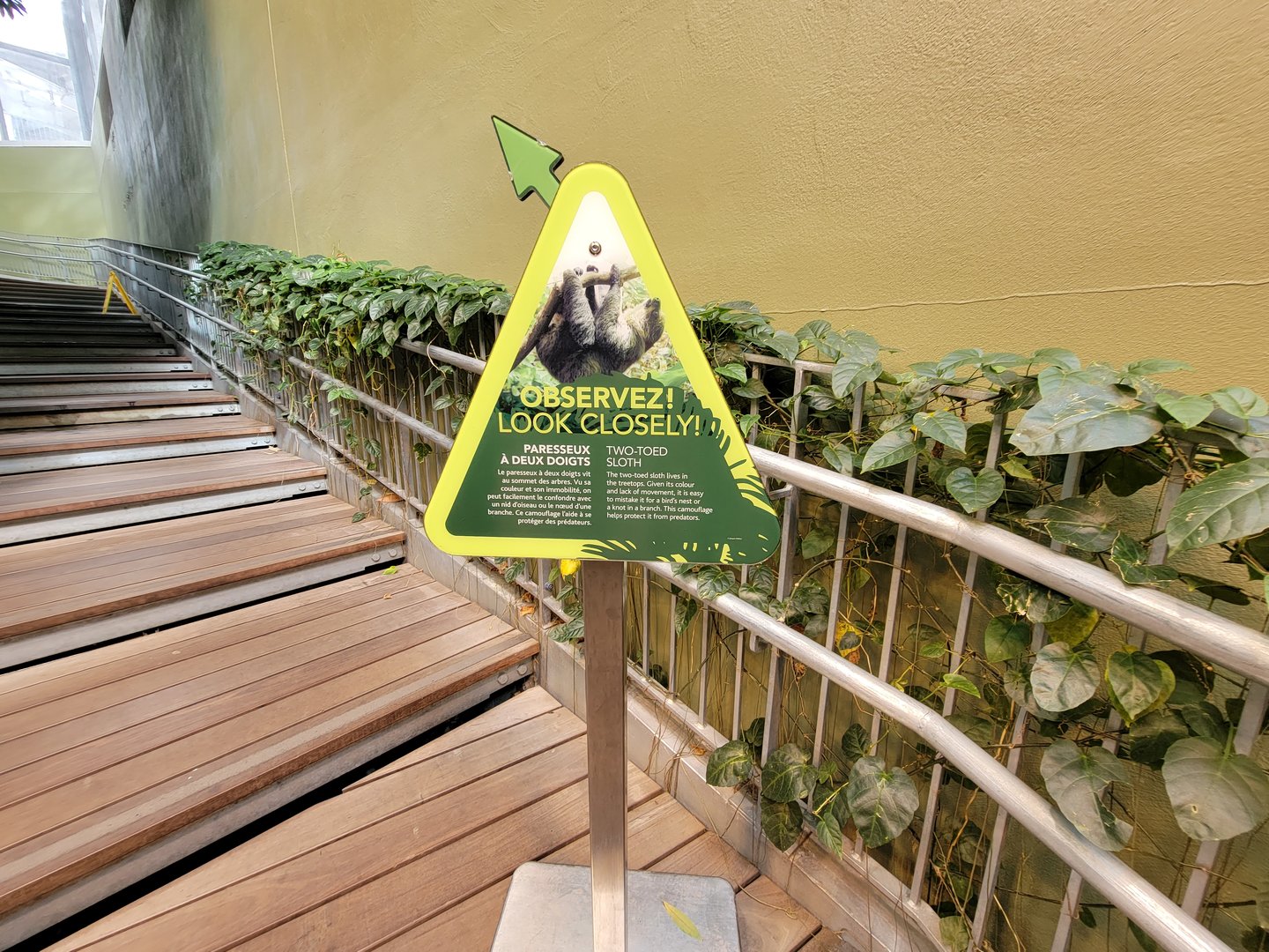 Biodôme Montréal - Tropical Rainforest - Sloth sign, never found a sloth