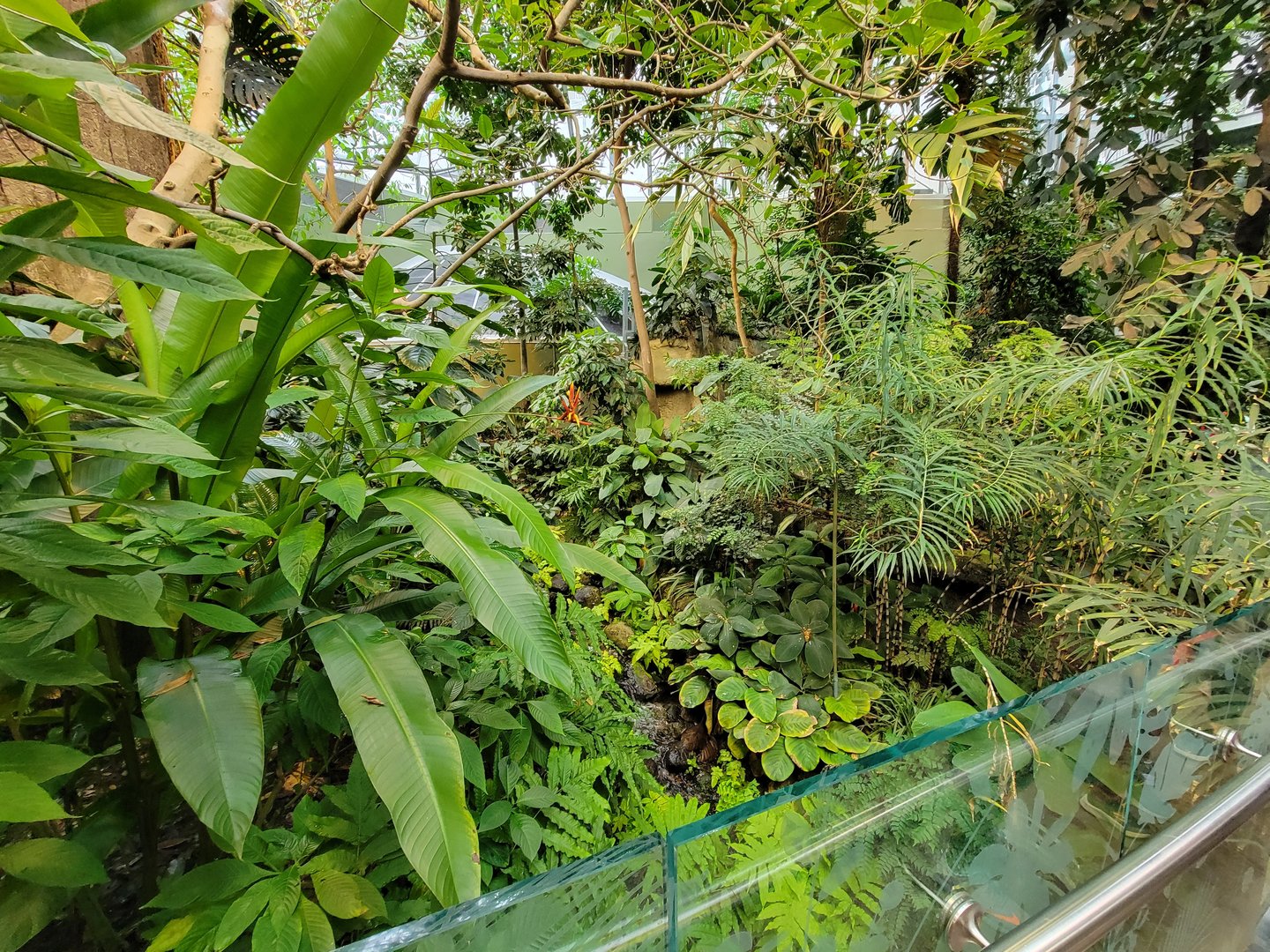 Biodôme Montréal - Tropical Rainforest