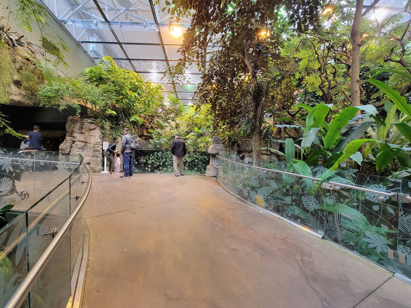 Biodôme Montréal - Tropical Rainforest