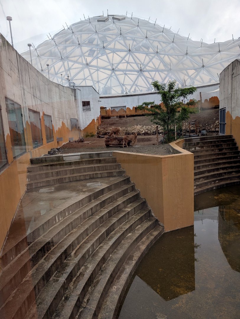 Biodome - Mountain Goat enclosure