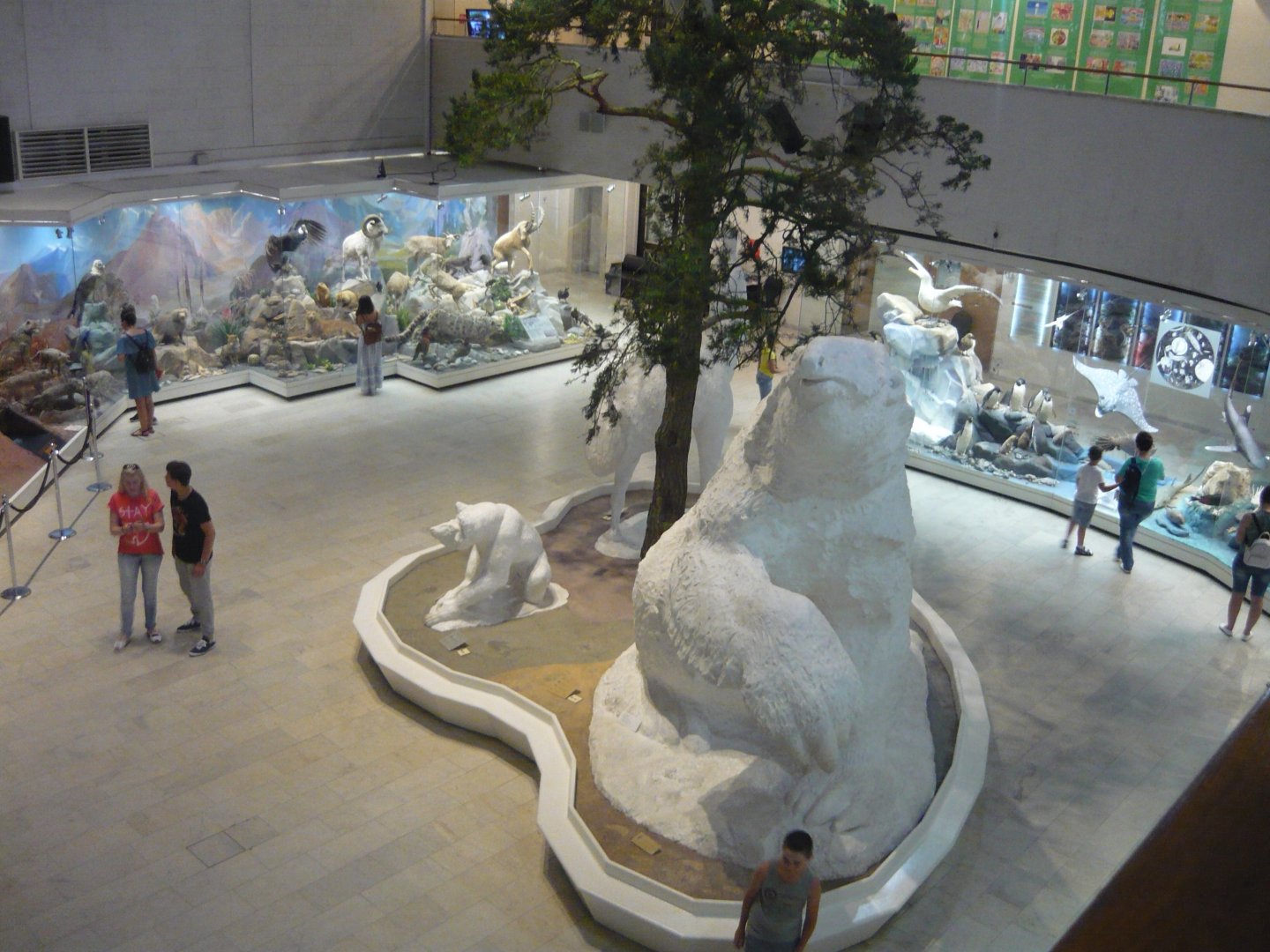 "Biological diversity" exhibition, ground floor