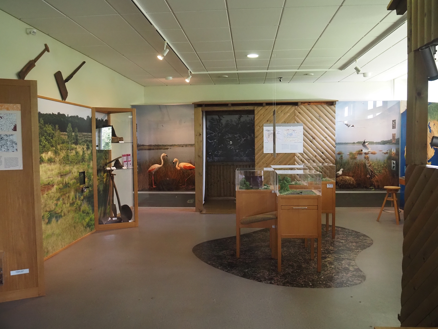 Biologischer Station Zwillbrocker Venn - Visitor and education center - Exhibition, 2025-05-26