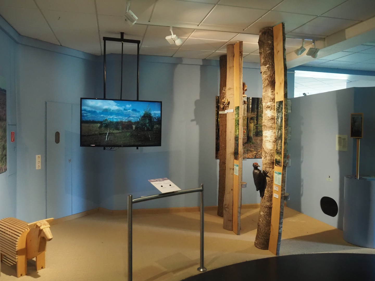 Biologischer Station Zwillbrocker Venn - Visitor and education center - Exhibition, 2025-05-26