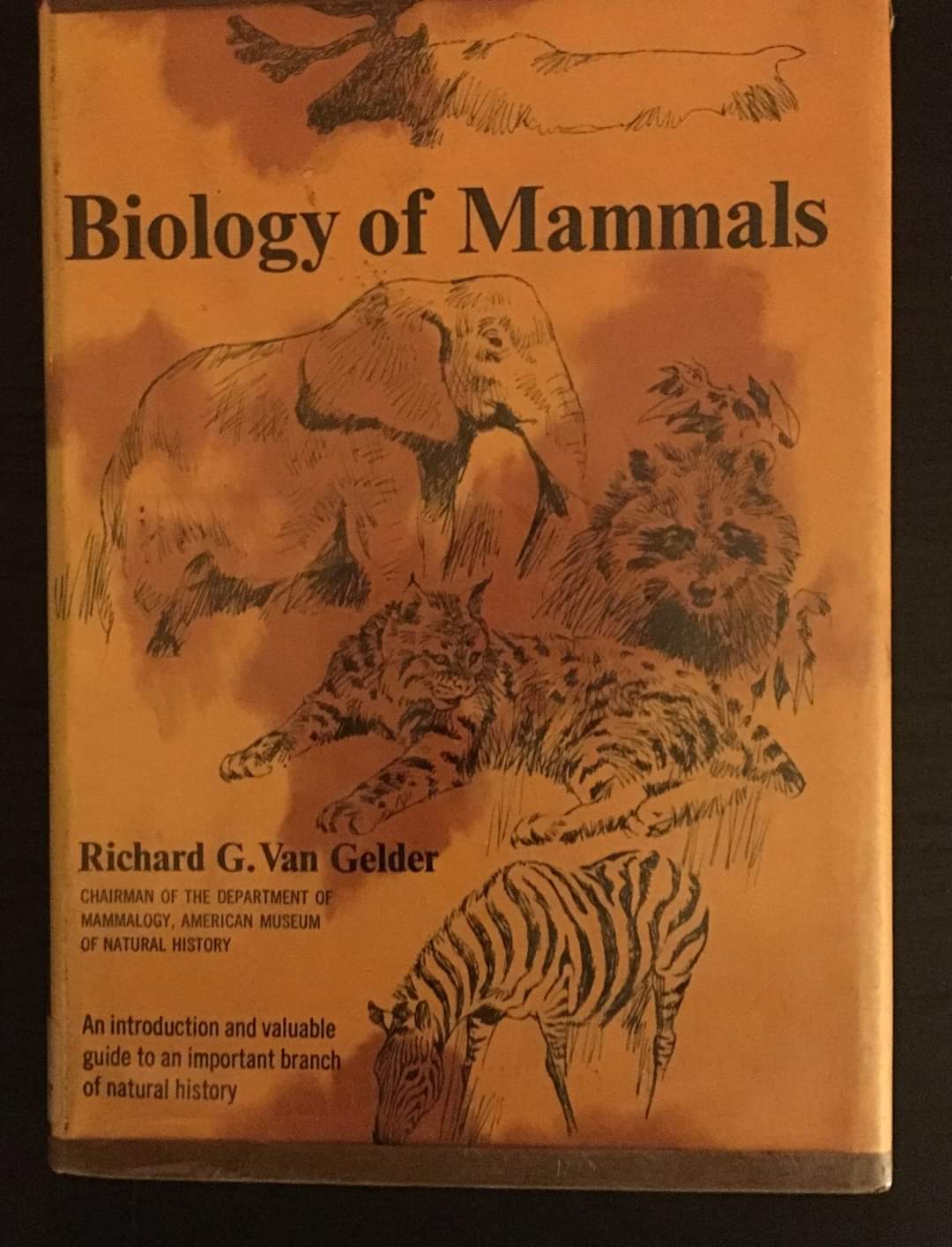 Biology of Mammals
