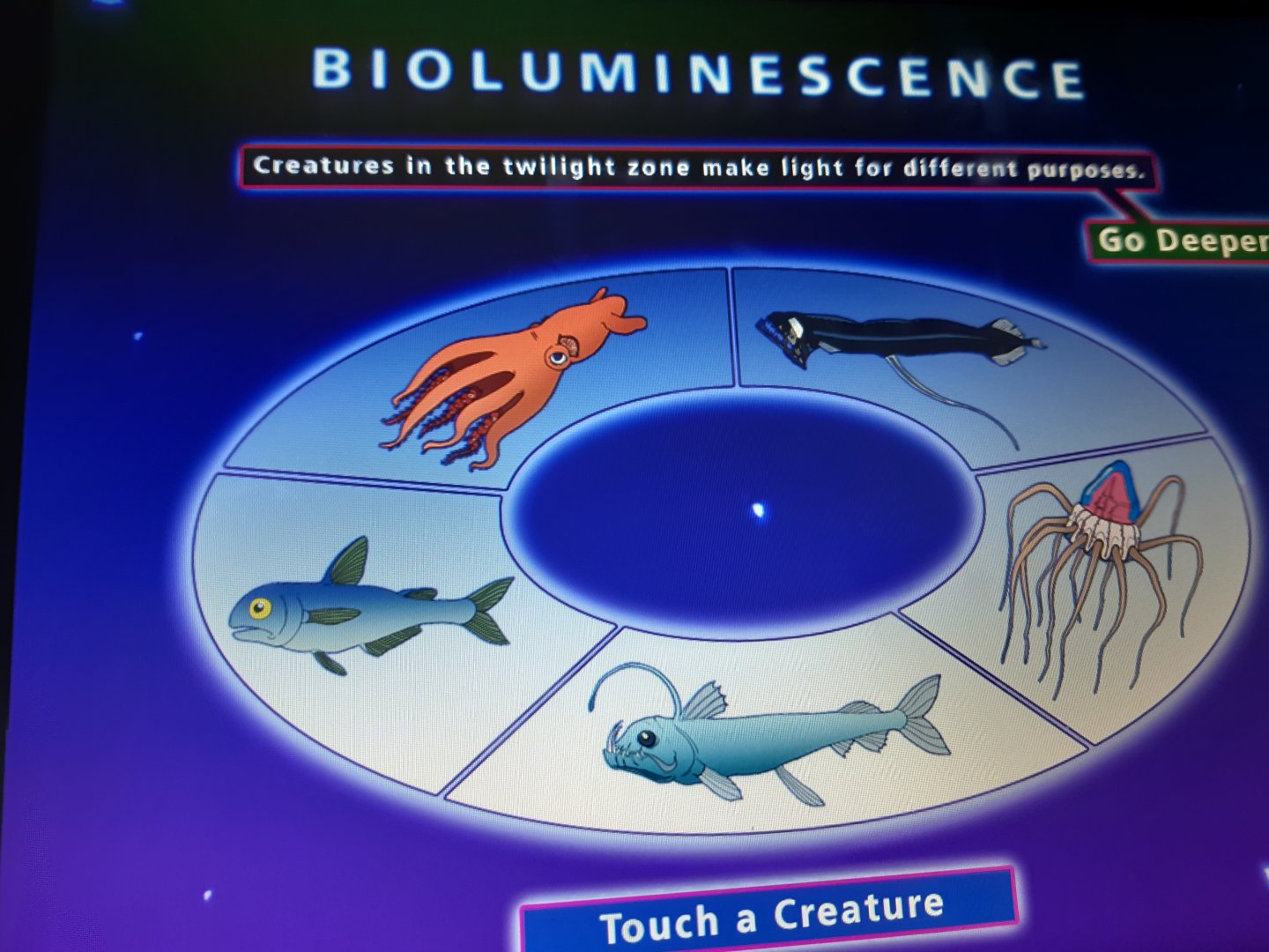 Bioluminescence
