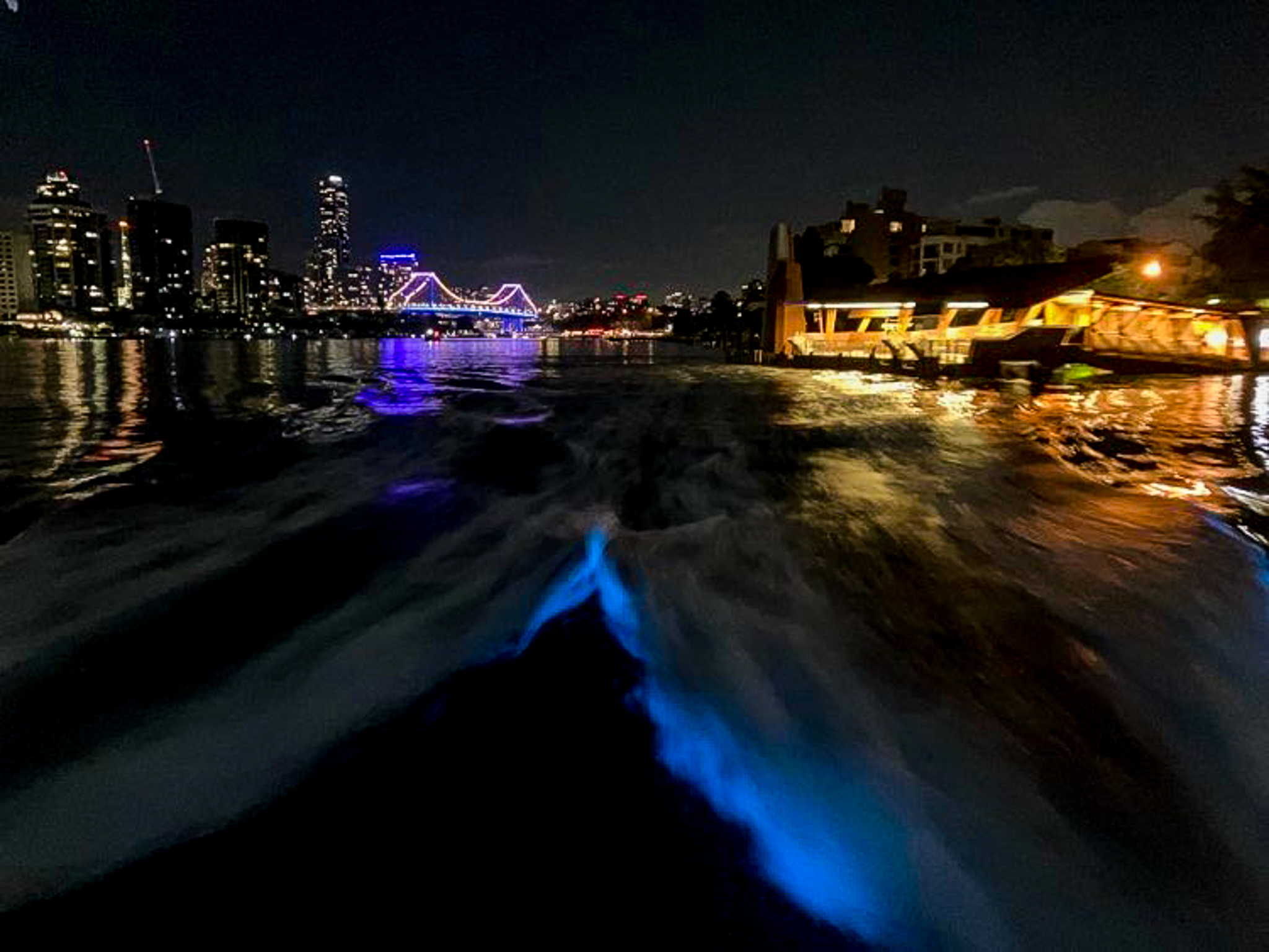 Bioluminescent Plankton Bloom in Brisbane City