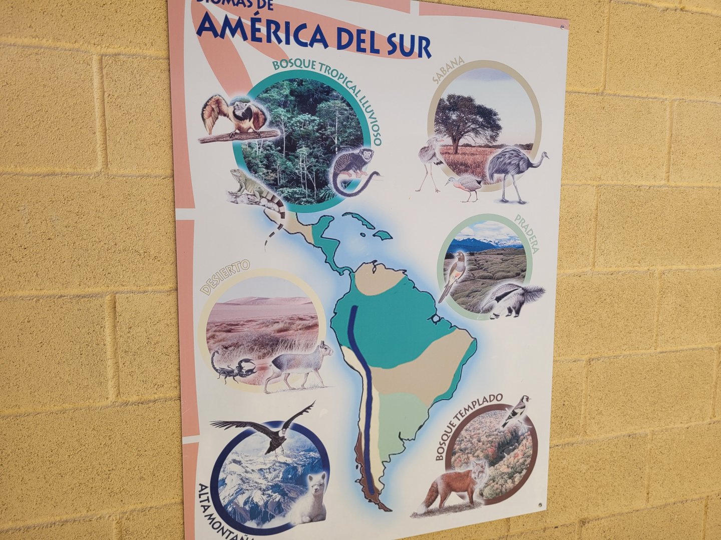 Biomes of South America sign -Sendaviva (2024)