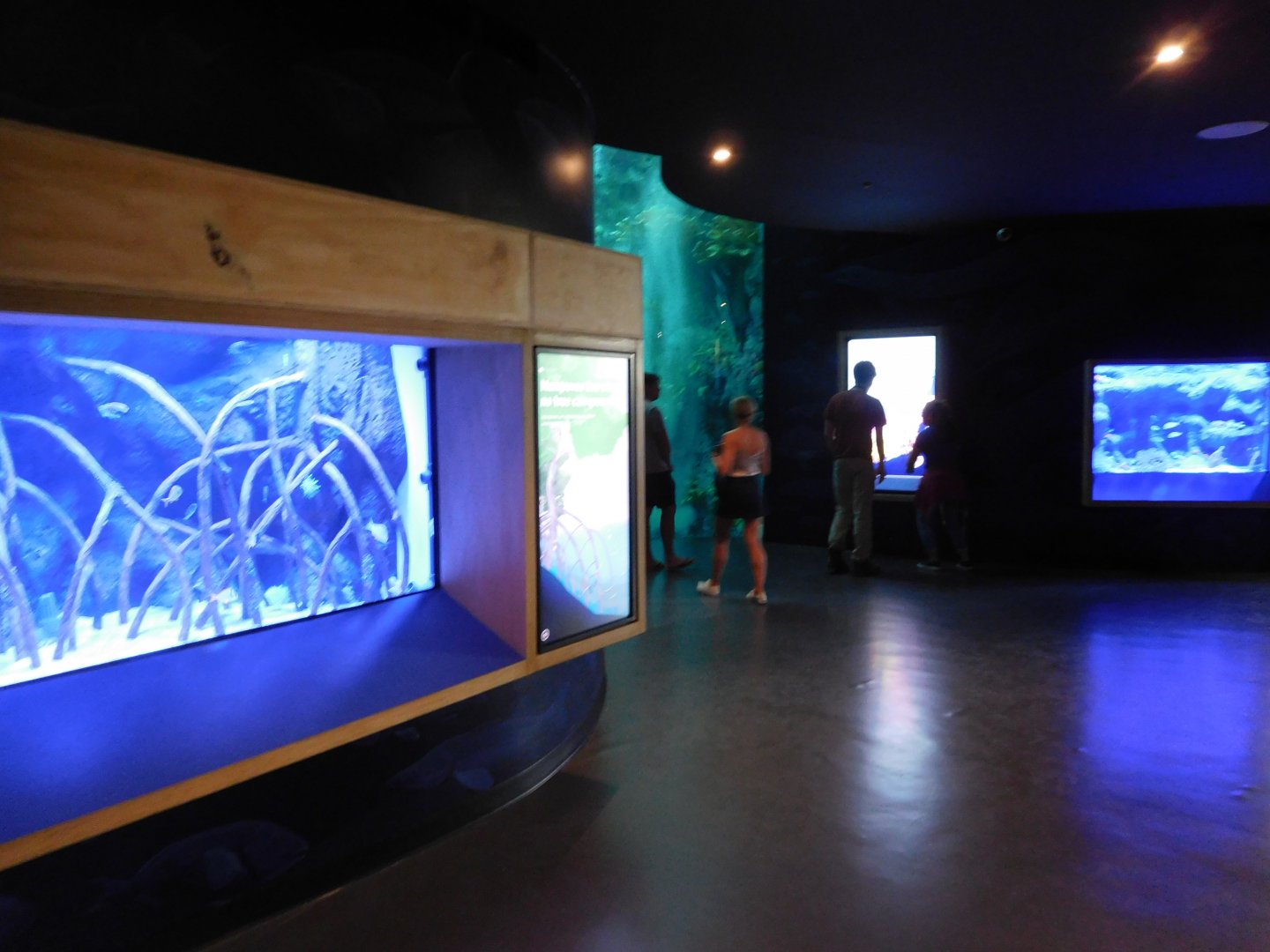 Biomuseo Aquarium