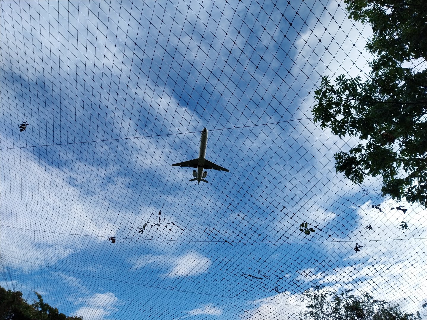 Bioparc Genève - Above the European wildcat enclosure