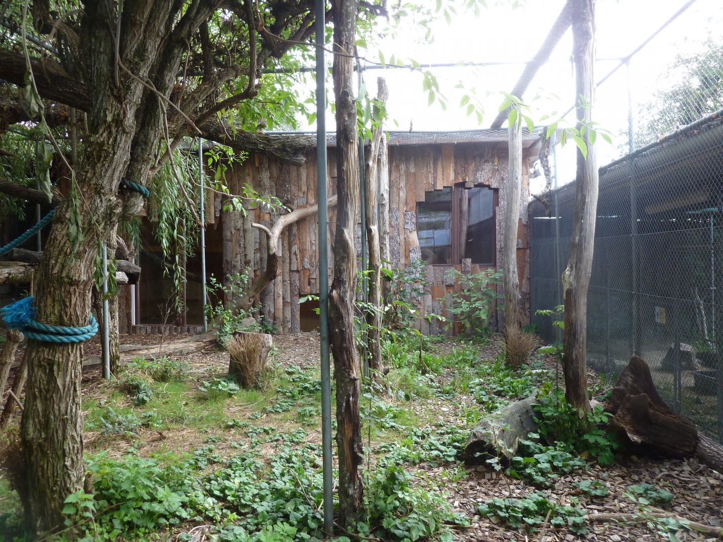 Bioparc Genève - Fossa enclosure