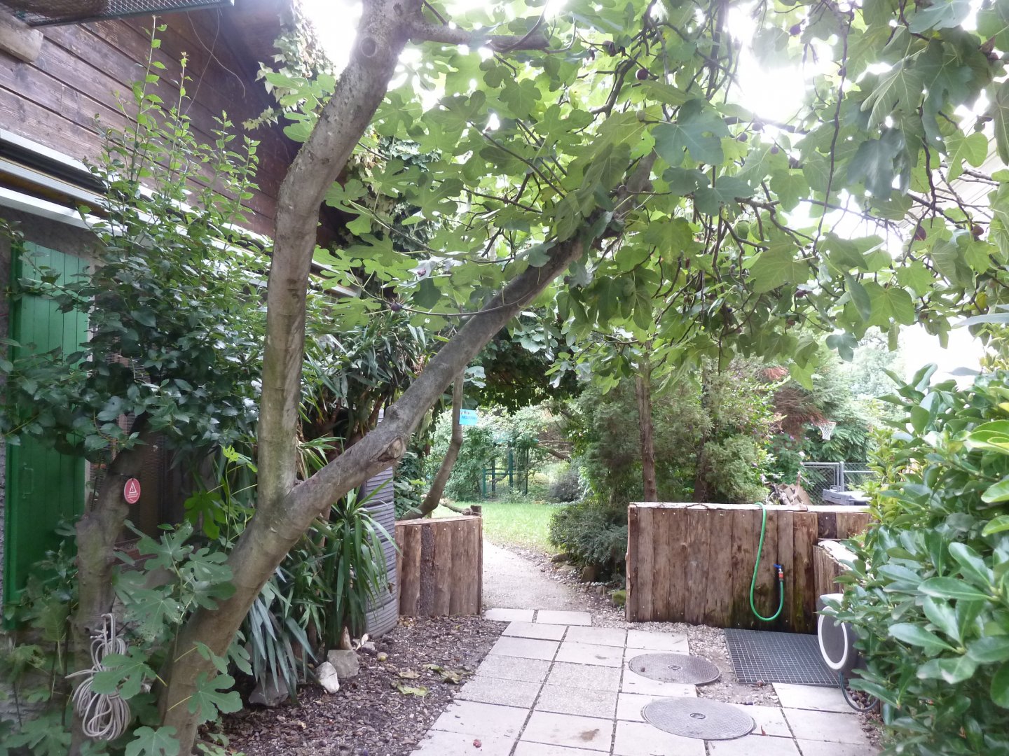 Bioparc Genève - General view