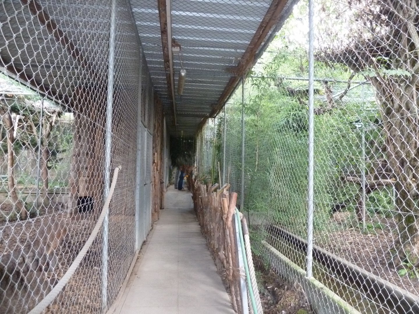 Bioparc Genève - Predator visitor path