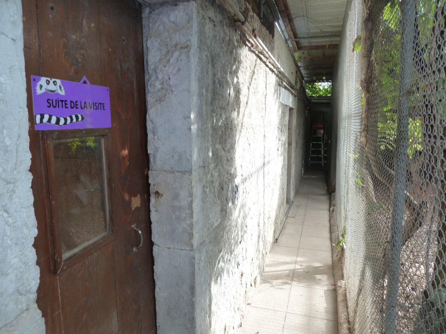 Bioparc Genève - Visitor tour