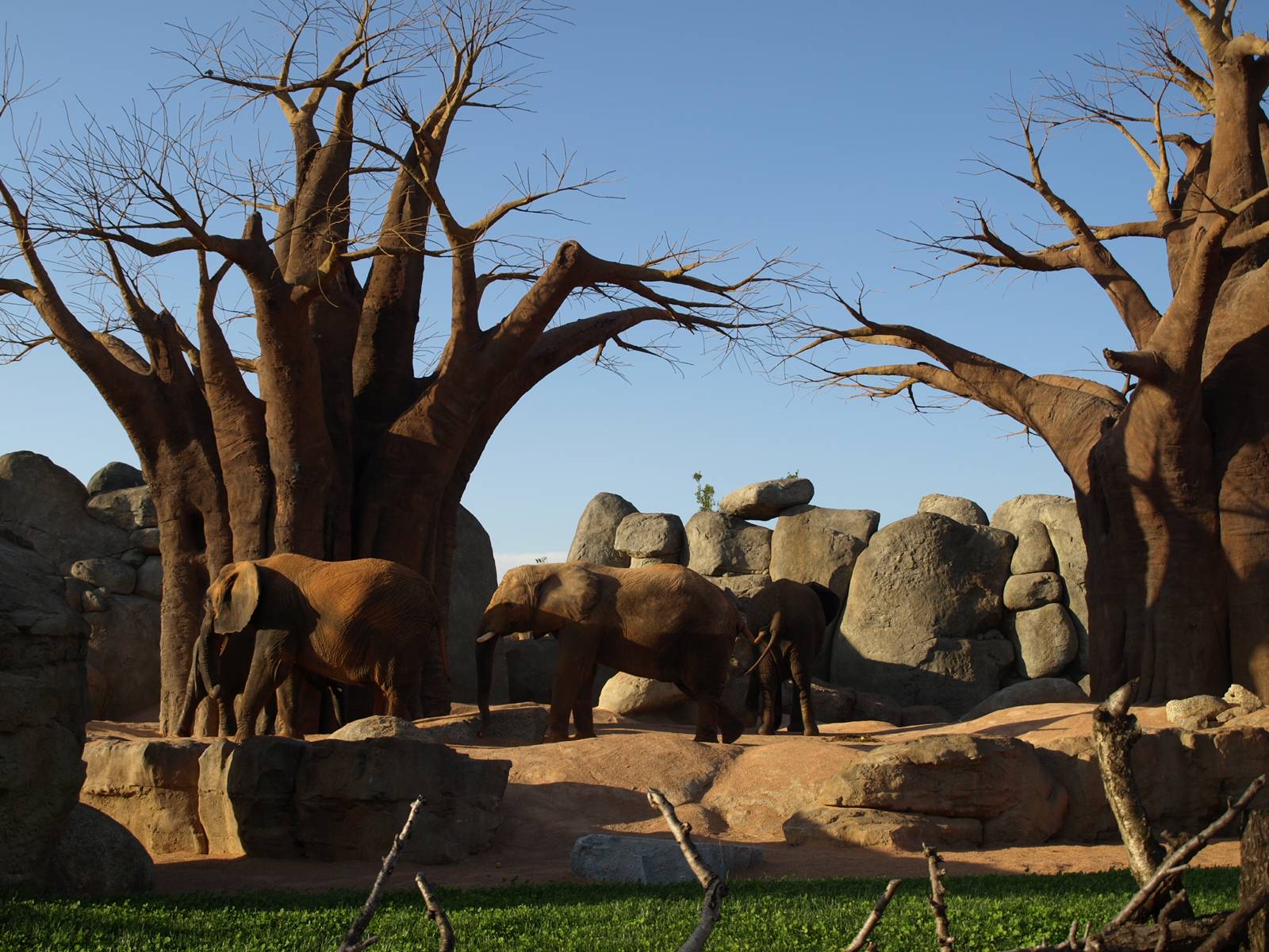 bioparc landscapes enclosures